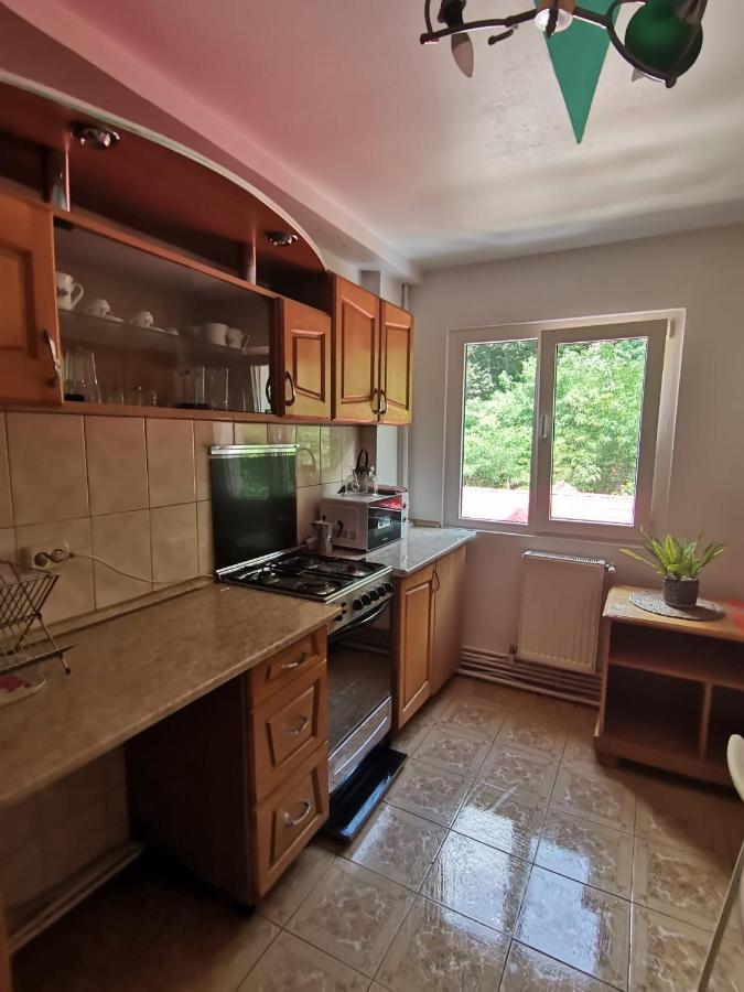 Apartamento Montana Slanic Exterior foto