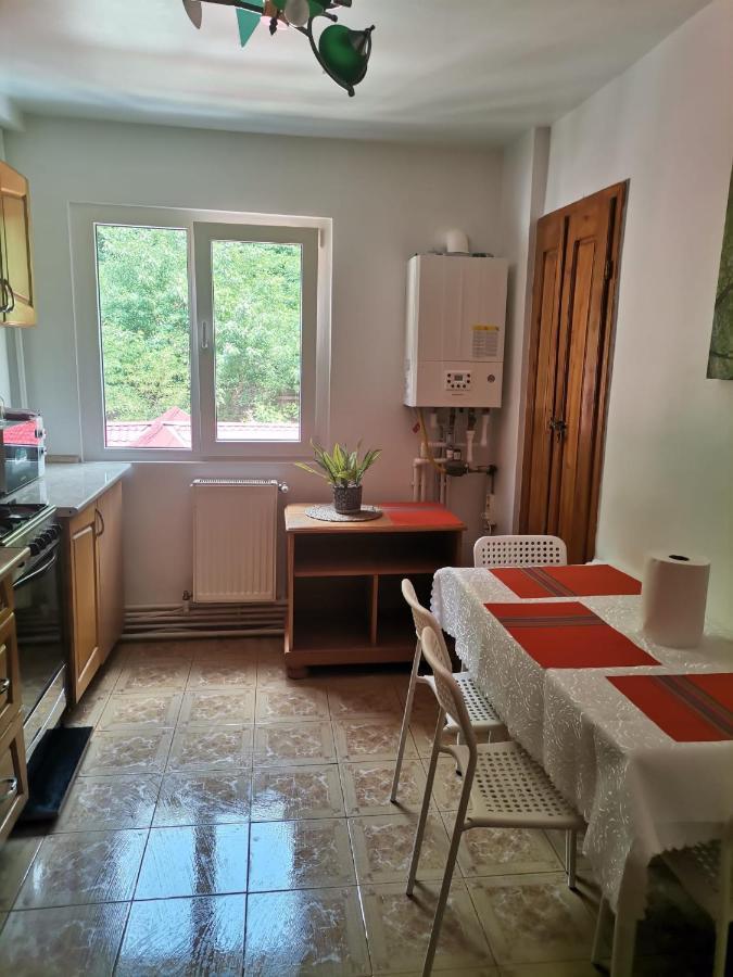 Apartamento Montana Slanic Exterior foto
