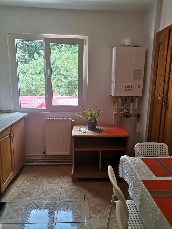 Apartamento Montana Slanic Exterior foto